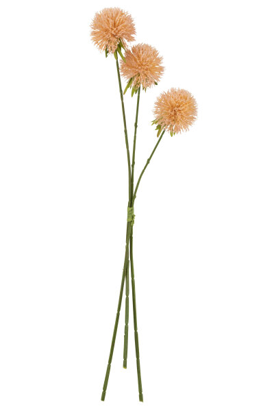 Blume Allium 3 Stück Plastik Pfirsichrosa Large