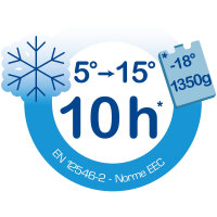 Kühlbox Promotion 15 Liter, blauer Deckel, Box grau